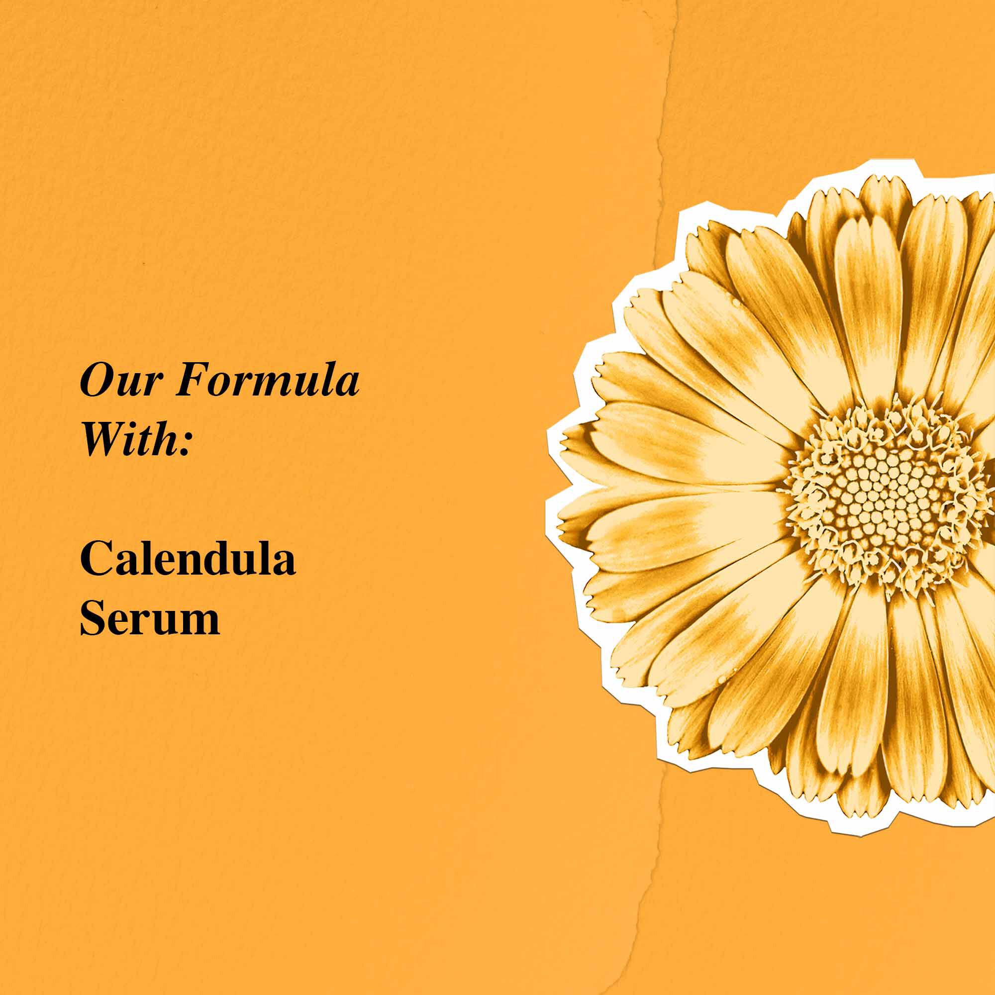 Creme hydratante visage Calendula Serum-Infused Water Cream