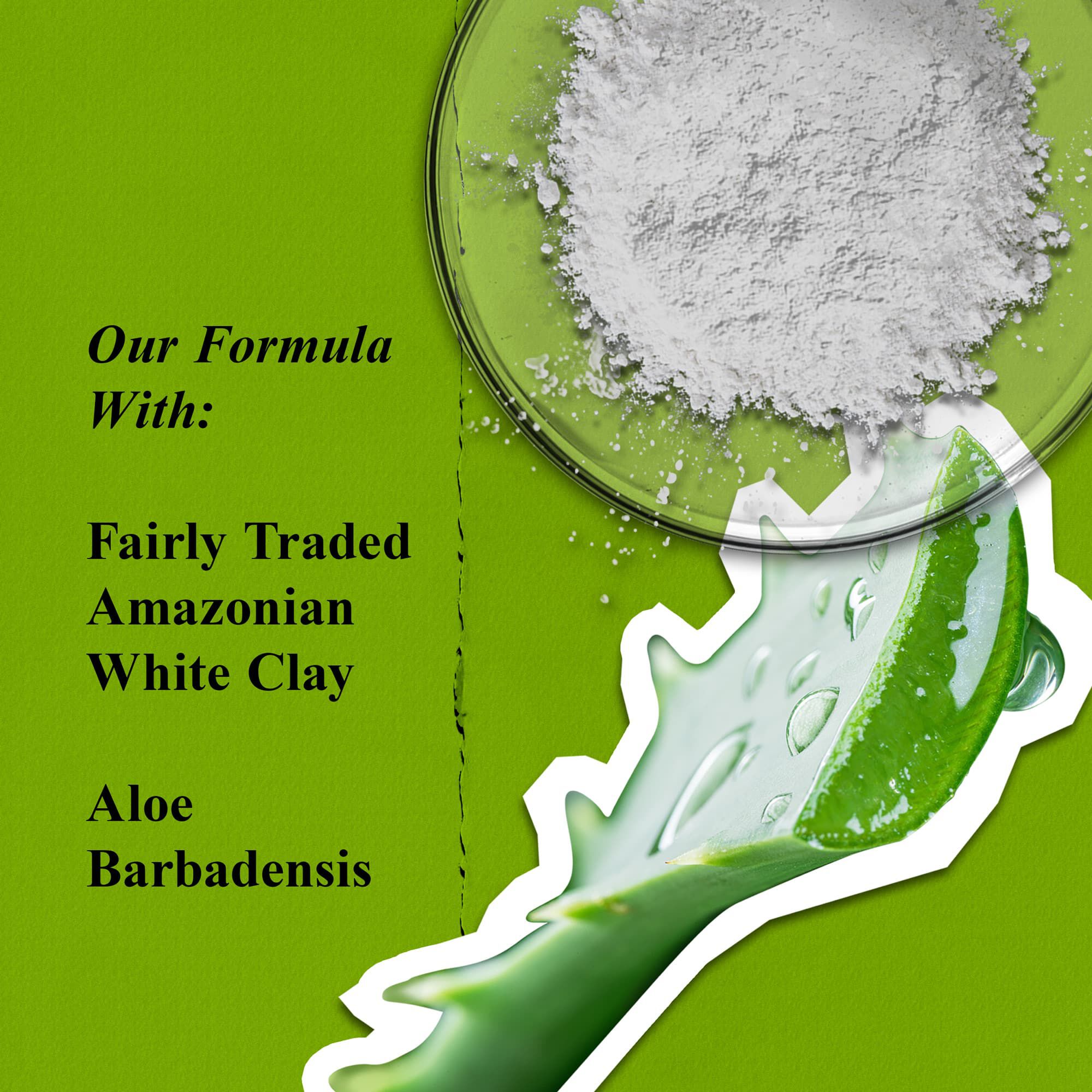 Masque soin visage Rare Earth Deep Pore Cleansing Mask