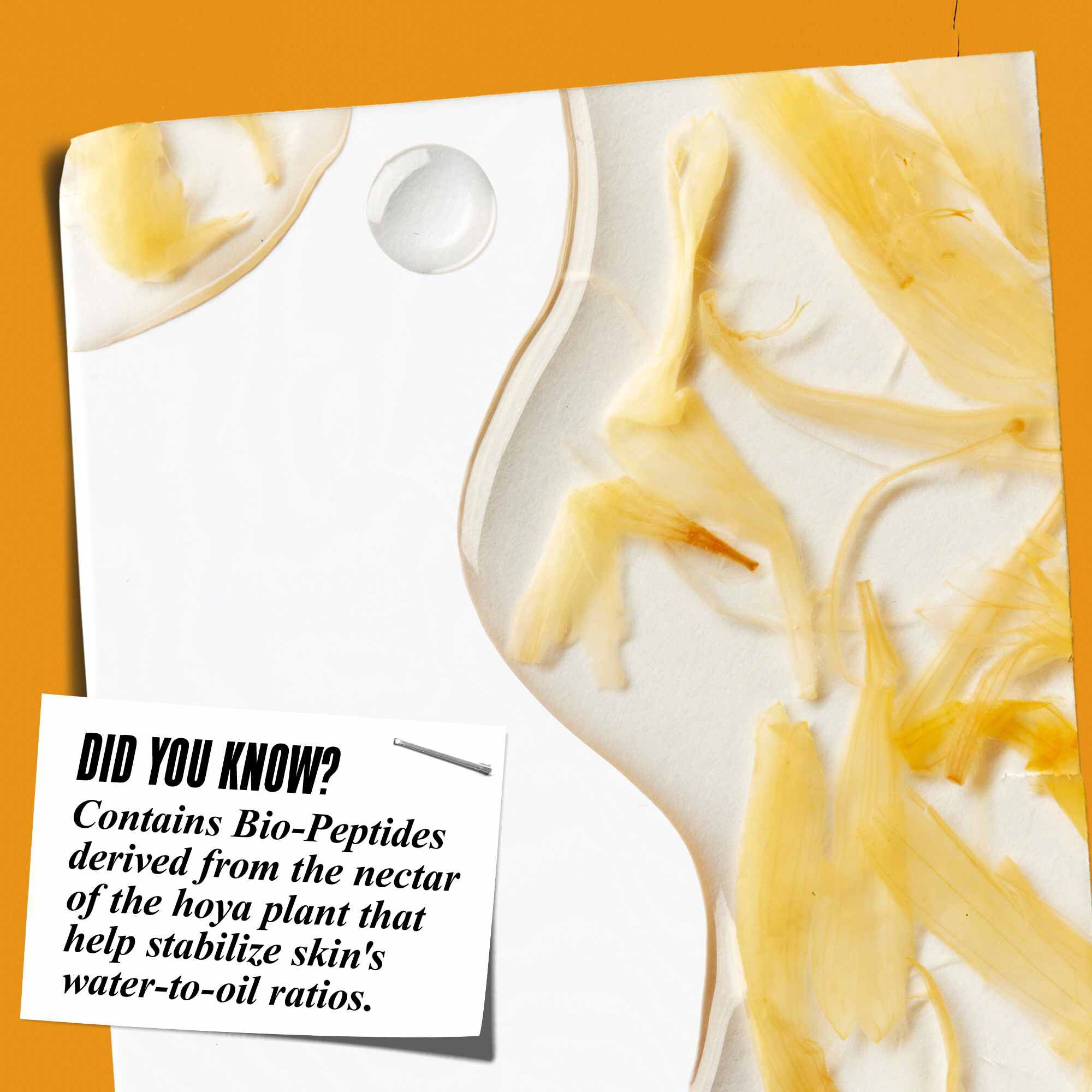 Nahaufnahme der Textur des Calendula Herbal-Extract Toner mit Ringelblumenblutenblattern und dem Text: „Wussten Sie schon? Enthalt Bio-Peptide aus dem Nektar der Hoya-Pflanze, die helfen, das Wasser-Ol-Verhaltnis der Haut zu stabilisieren.“