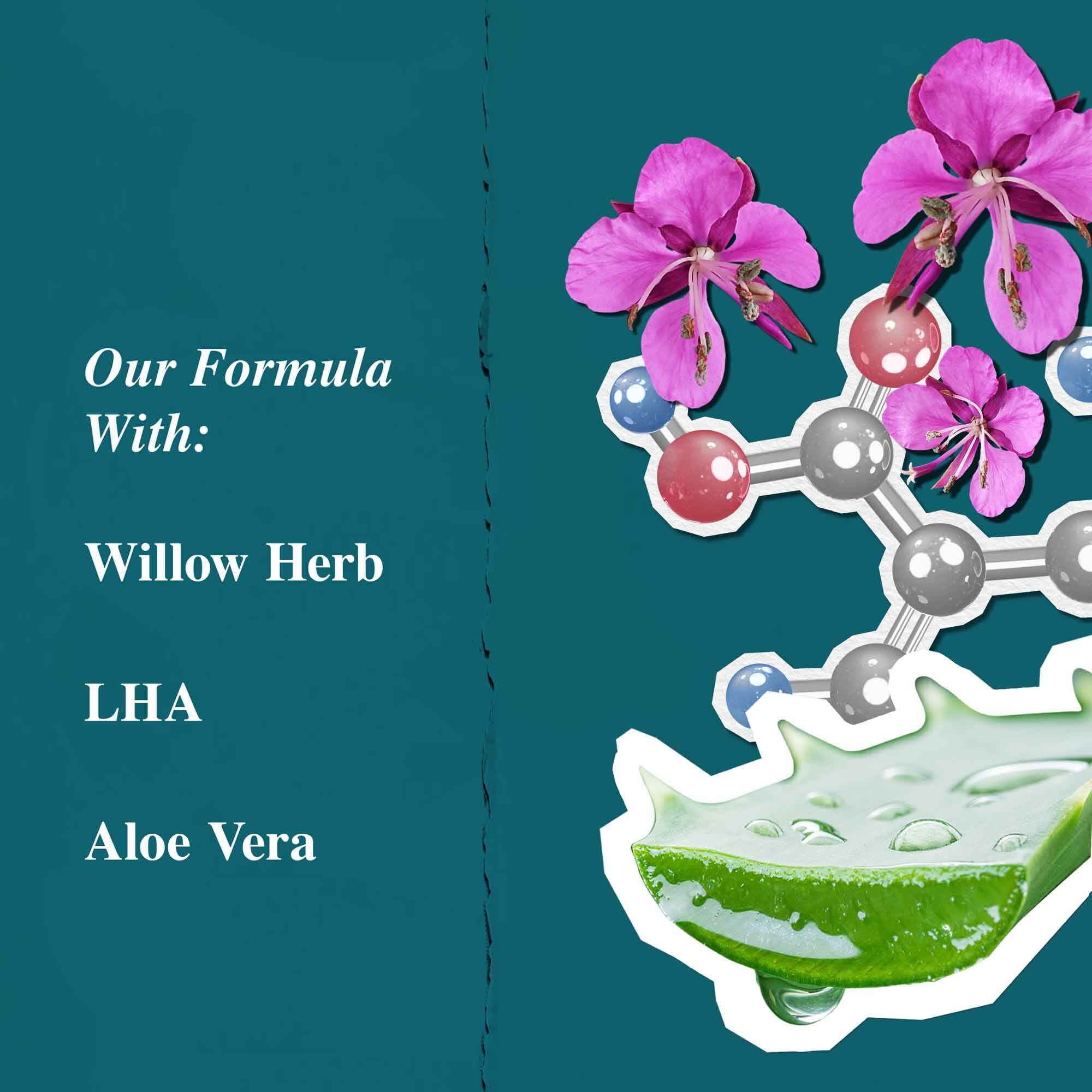 Inhaltsstoffgrafik fur Close Shavers Squadron Smooth Glider Precision Shave Lotion, hervorgehoben werden Weidenroschen und Aloe Vera.