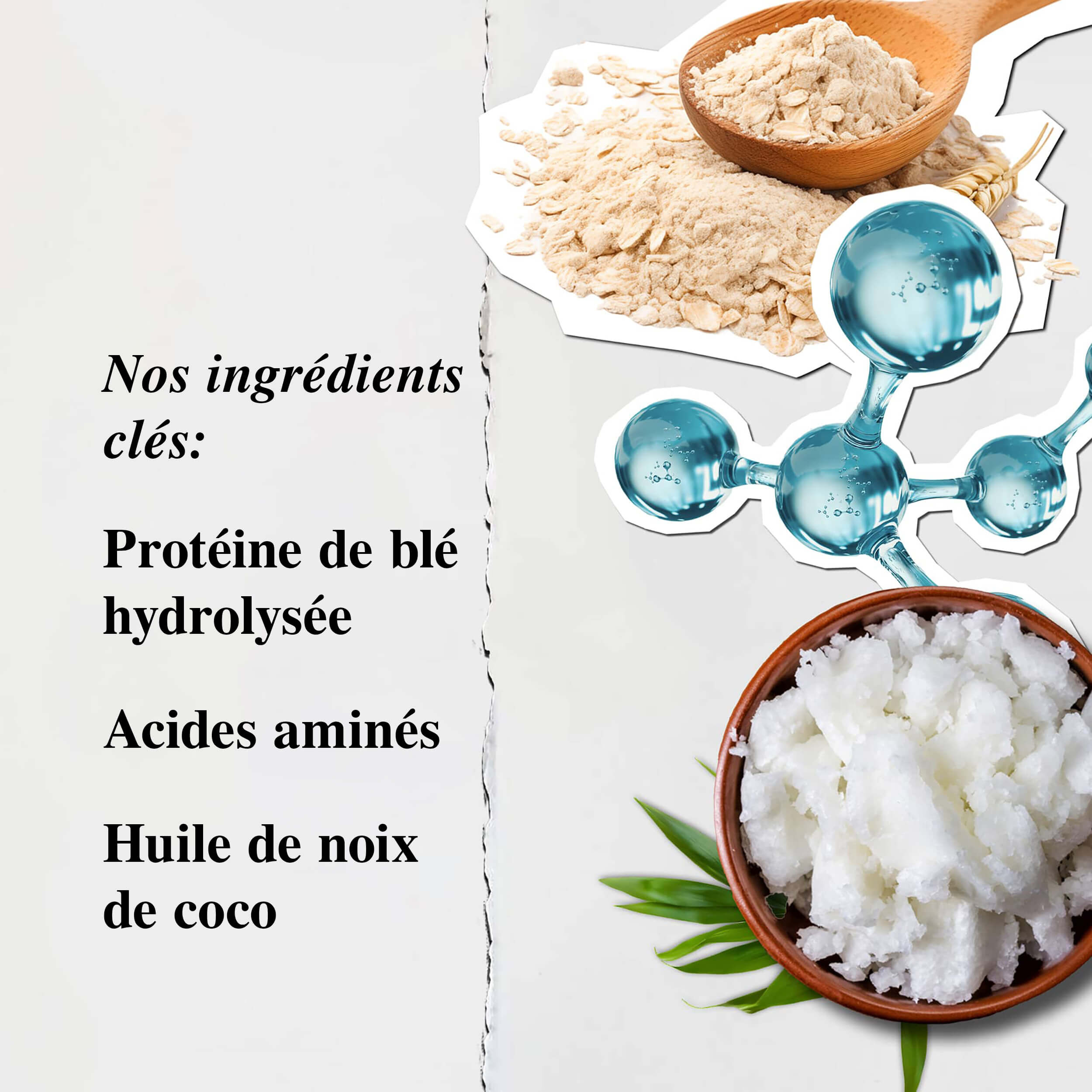 Ingredients du shampoing Amino Acid de Kiehl's : proteine de ble hydrolysee, acides amines, huile de coco issue du commerce equitable