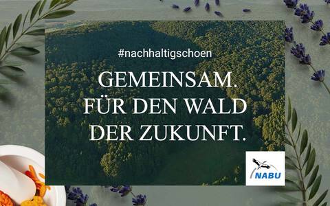 Alt-Text: Hintergrundbild eines Waldes mit dem Text "Gemeinsam. Fur den Wald der Zukunft." und dem NABU-Logo.