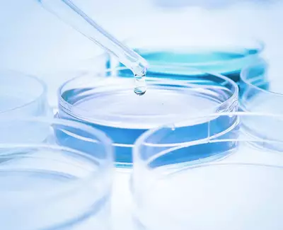 Eine Pipette traufelt eine Flussigkeit in verschiedene Petrischalen mit blauen und durchsichtigen Inhalten.