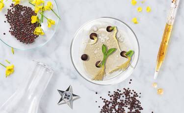 Was hilft gegen Falten? 