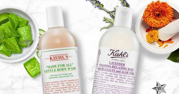 Aloe Vera: Das Naturliche Multitalent Fur Haut Und Haar