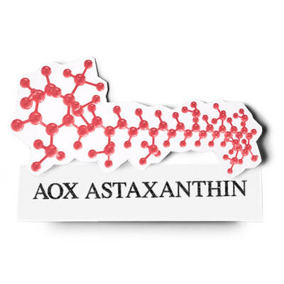 AOX ASTAXANTHIN Kiehl's Inhaltsstoffe