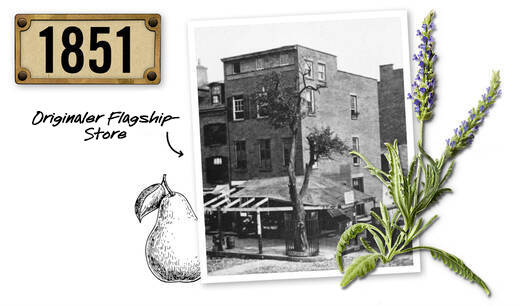 traditionellen Apotheke in New York