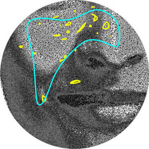 Derma Reader von Kiehl's: Anaylse der UV-Schaden der Haut