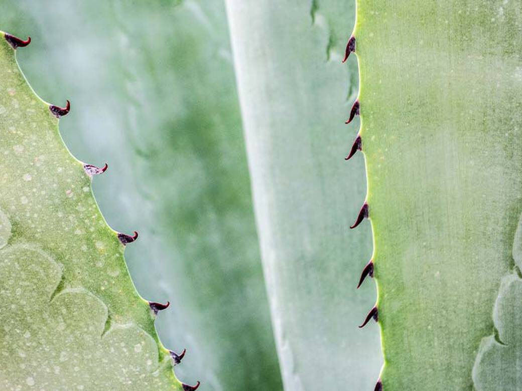 Backpulver Verpackung