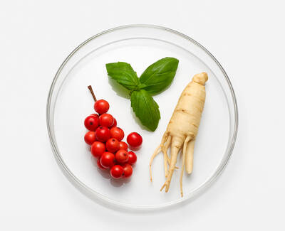 A clear petri dish containing a cluster of bright red berries, a fresh green basil leaf, and a ginseng root.