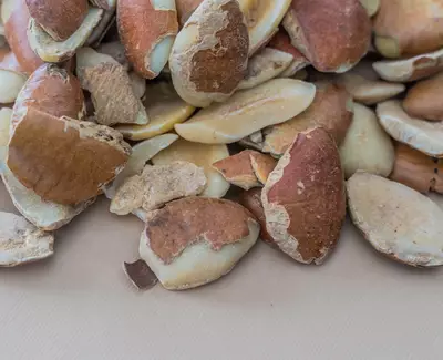 A close-up of various broken nut shells scattered on a light surface.