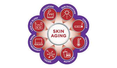 A diagram illustrating factors contributing to skin aging, including pollution, sun radiation, tobacco, lack of sleep, work environment, toxins, nutrition, and temperature changes, arranged in a circular layout around the central term "Skin Aging."