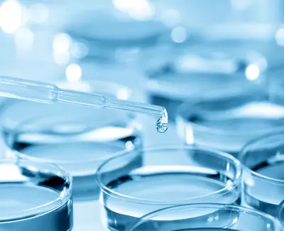 A close-up of a pipette dropping a liquid into a series of blue-tinted petri dishes.