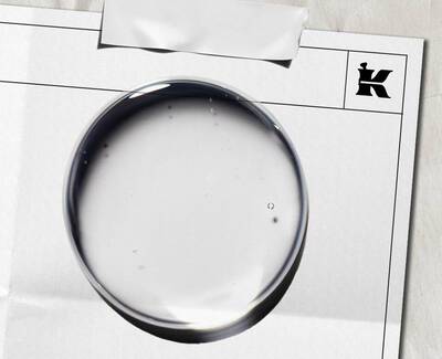 A close-up view of lush green leaves with water droplets, showcasing a vibrant and healthy foliage.