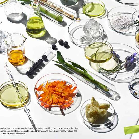 Ingredients, huiles et poudres vegetaux presentes dans des recipients en verre, illustrant la beaute et la durabilite de la nature.