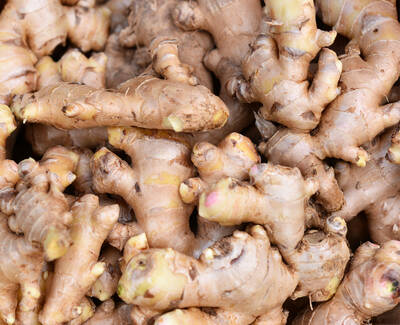 A close-up image of fresh ginger roots piled together, showcasing their knobby, textured surfaces and earthy color.
