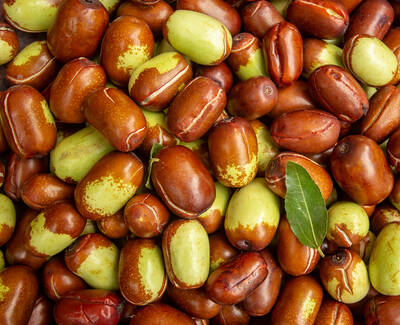 A close-up view of a mixed pile of jujube fruits, showcasing various shades of brown and green, with a few leaves among them.