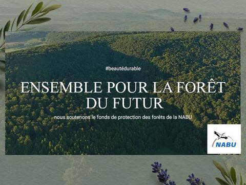 Alt text en francais : "Image promotionnelle pour la protection des forets, avec le texte 'Ensemble pour la foret du futur' et le logo NABU."