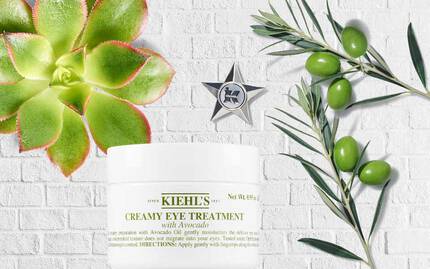 Creme pour les yeux Kiehl's sur un fond de briques blanches avec des plantes succulentes et des feuilles d'olive.