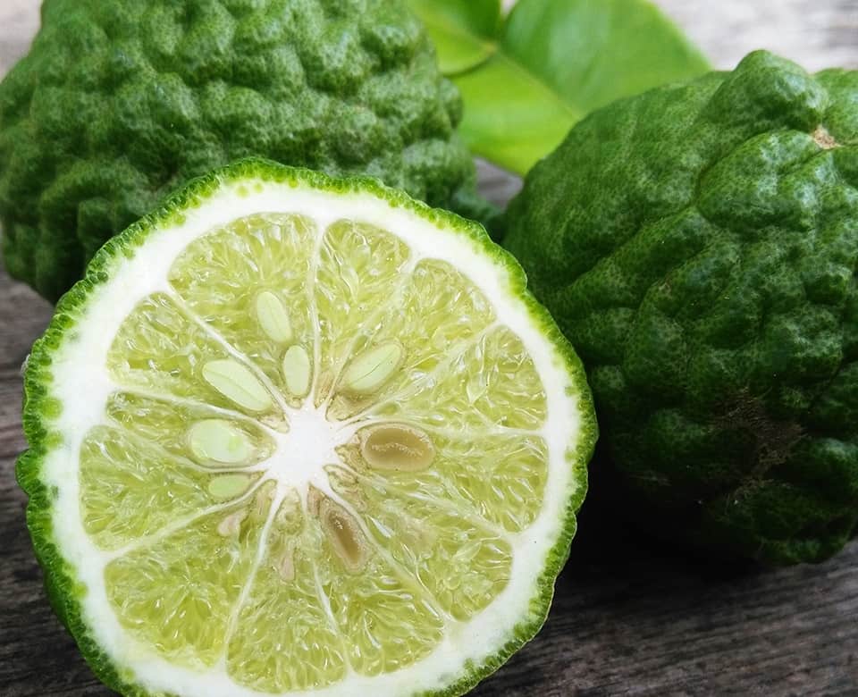 Ingredientes aceite de aguacate