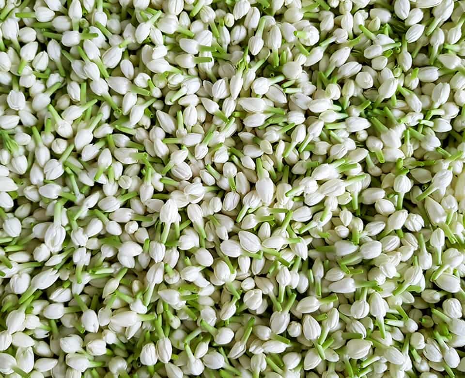 Ingredientes manteca de Shea