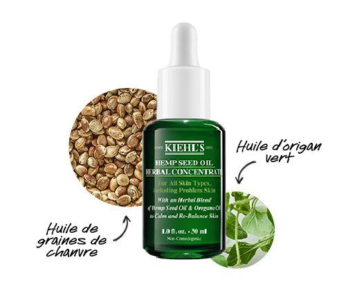 Ingrédients Hemp Sativa Seed Oil Herbal Concentrate